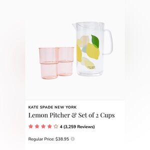 NWOT Kate Spade Drinkware Pitcher Set